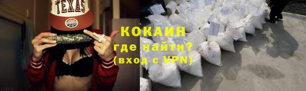 твердый Лагань
