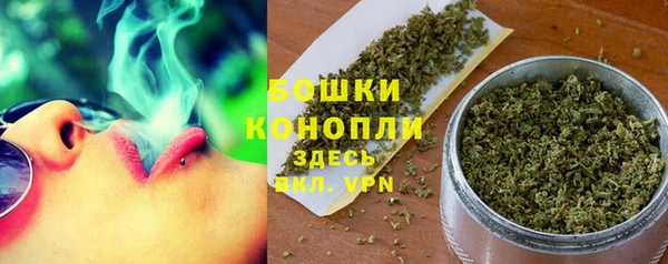 твердый Лагань