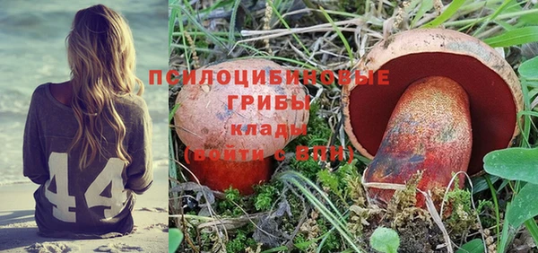твердый Лагань