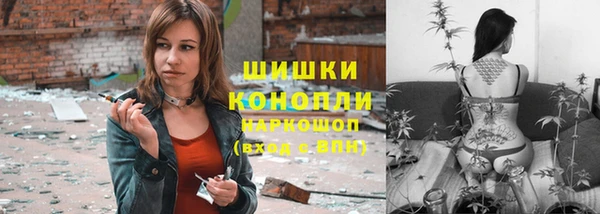 твердый Лагань