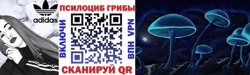 Псилоцибиновые грибы Magic Shrooms  Кумертау 